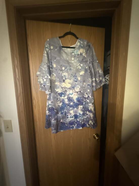 Unknown Dresses & Skirts - Floral Print Ruffle‎ Sleeve Shift Dress Size S